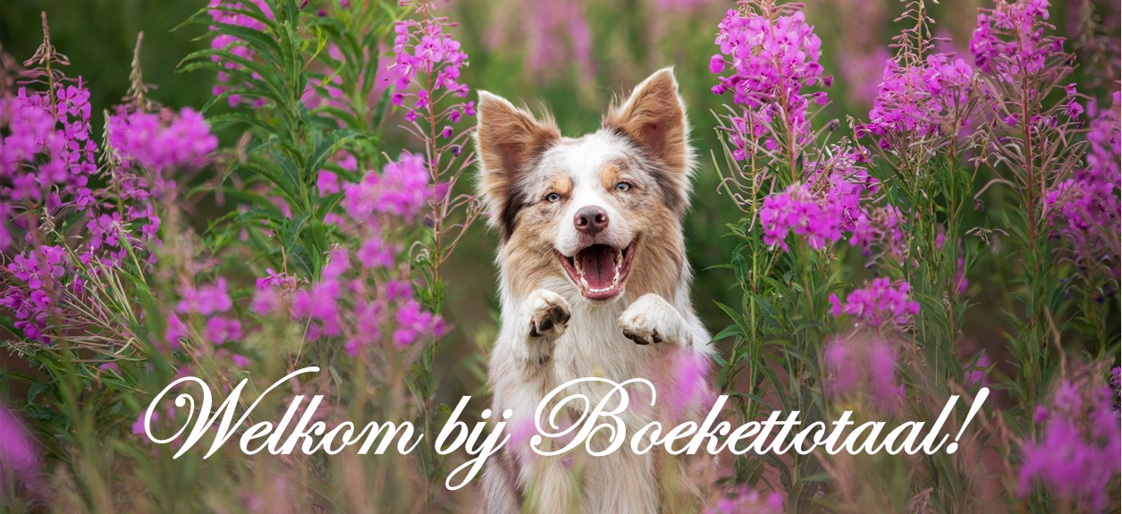 Winkel 1