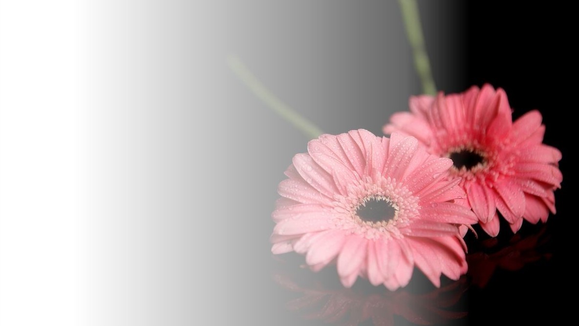 Bloemen