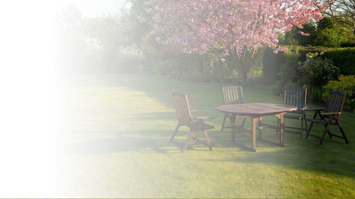 Tuin