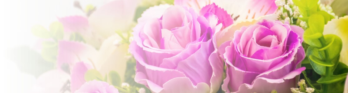 Bloemen en planten
