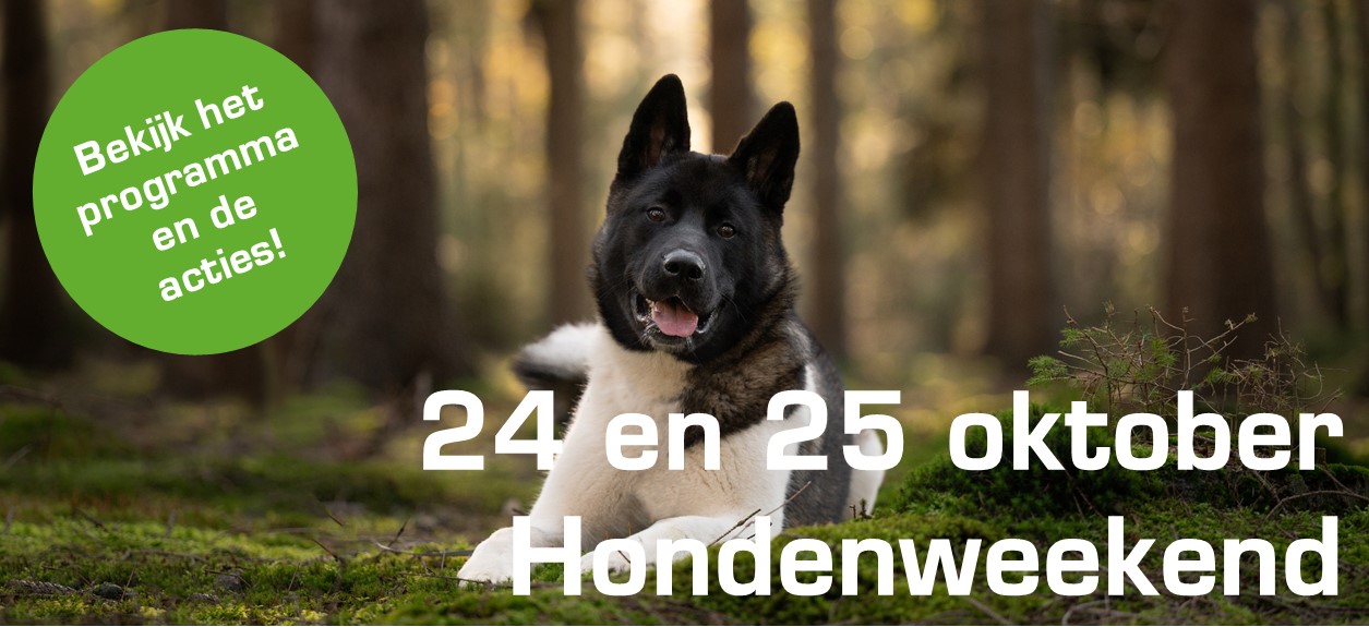 Winkel 1