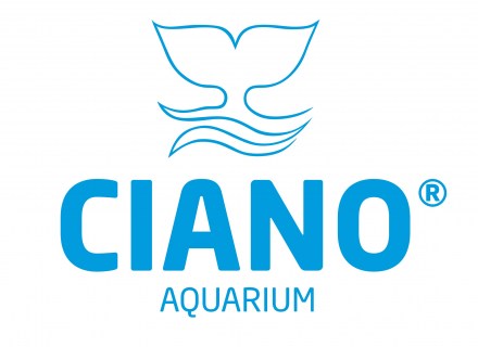 Ciano staat bekend om zijn grote diversiteit aan aquariums. Een absolute aanwinst voor uw woon- of slaapkamer. Zeer bekend om de Emotions Nature Pro lijn. Daarnaast natuurlijk de alom bekende Cube. Vele CIano modellen zijn voorzien van LED.