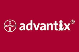 Advantix is het merk met een groot assortimen speciaal ontwikkeld ter bestrijding en preventie van teken, vlooien en luizen bij de hond. Bekend om het meest effectieve middel welke vlooien in 3 tot 5 minuten stopt en dood luizen binnen een uur. Advantix staat garant voor een bescherming van 4 weken.