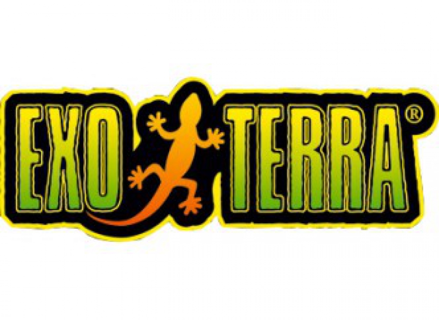 Exo Terra is één van de toonaangevende spelers op het gebied van terrariumproducten. De naam Exo Terra geeft het al aan. Exo staat vanzelfsprekend voor Exoten en Terra voor land. Kies daarom voor een goed werkend terrarium voor de producten van Exo Terra.