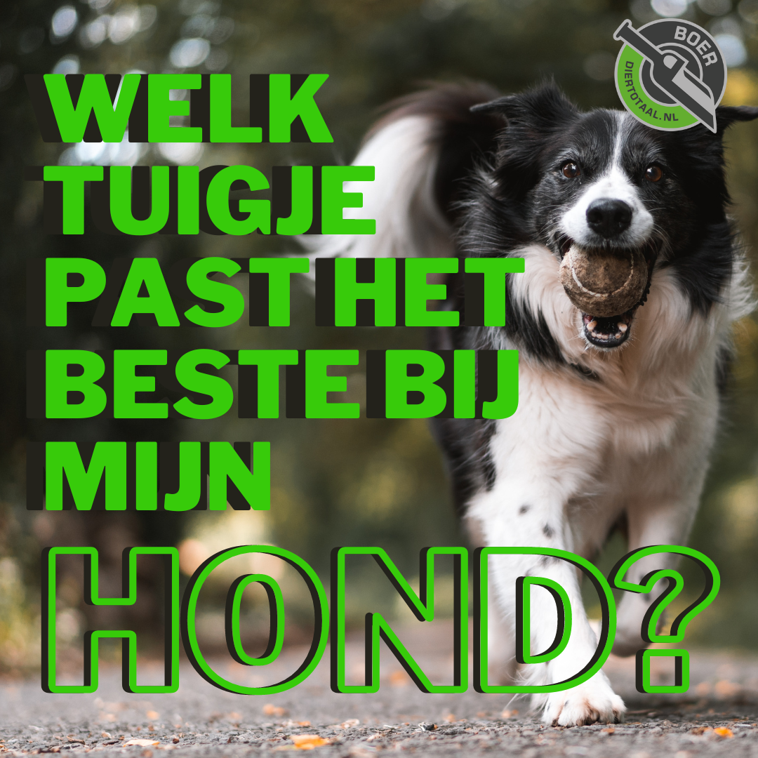 Welk tuigje past het beste bij mijn hond? Diertotaal.nl