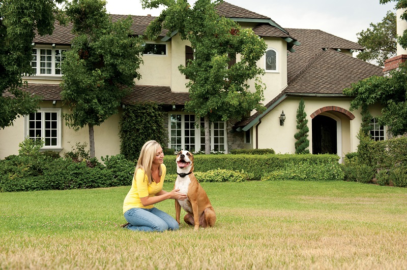 Petsafe Stay + Play Wireless Fence Draadloze Omheining