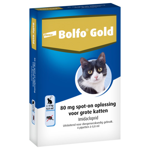 Bolfo Gold Kat 80 4 st.