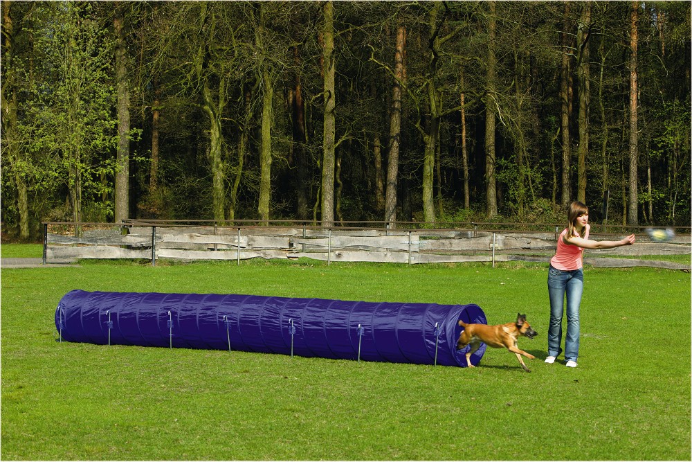 Beeztees Agility Tunnel Large 525x60x60 cm