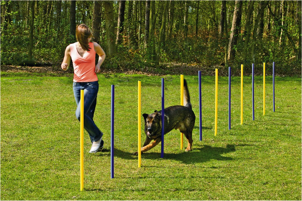 Beeztees Agility Slalom Set 12 Stuks