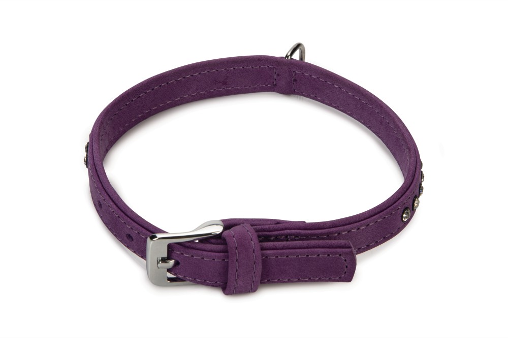Beeztees Leren Halsband Buffalo Paars