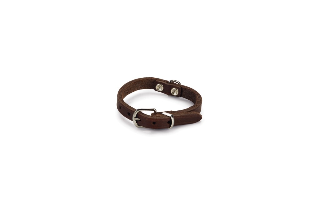 Beeztees Lederen Halsband Bruin 27 cm x 10 mm