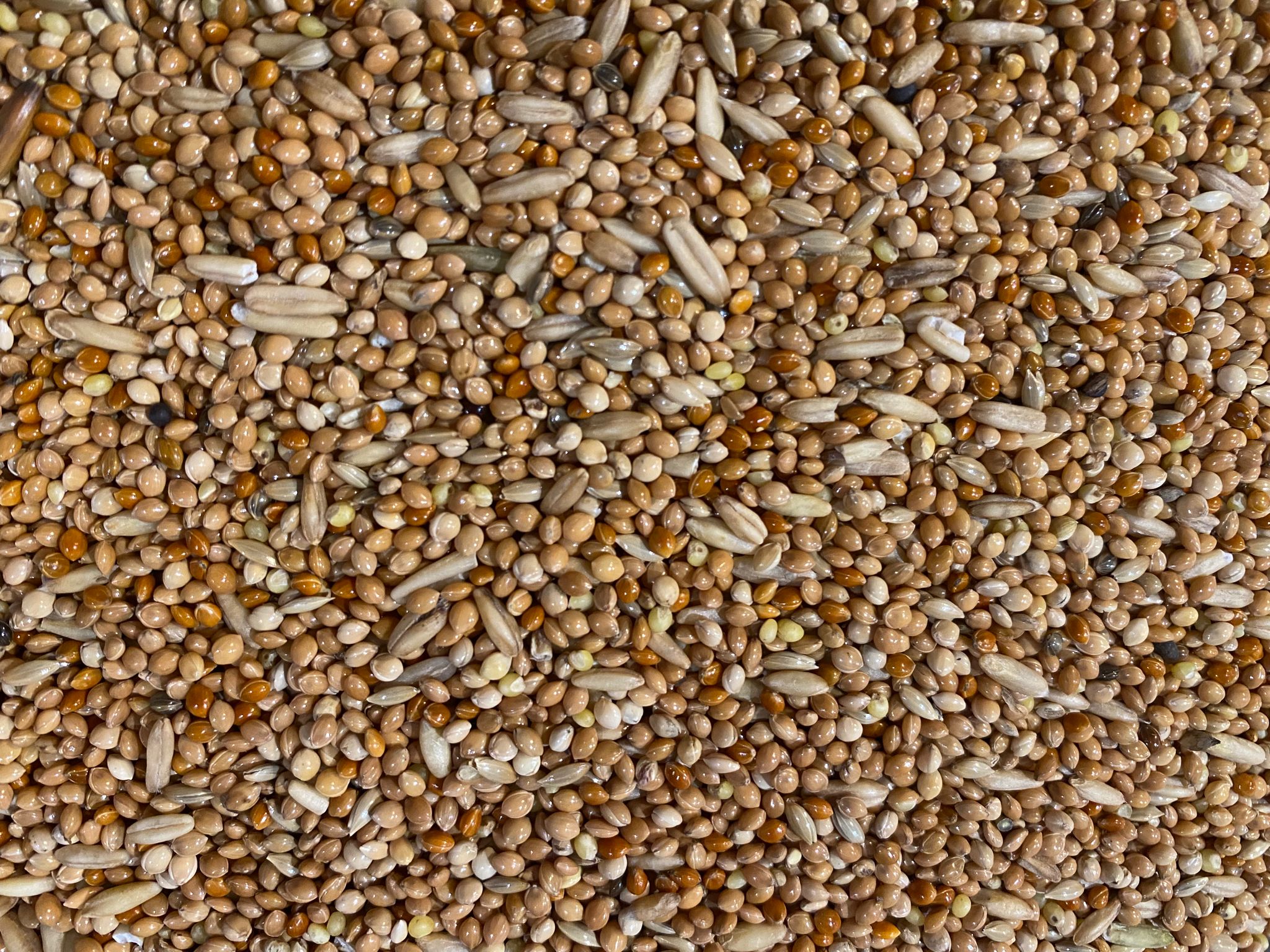 Boer Parkietenzaad fijn 5 kilo