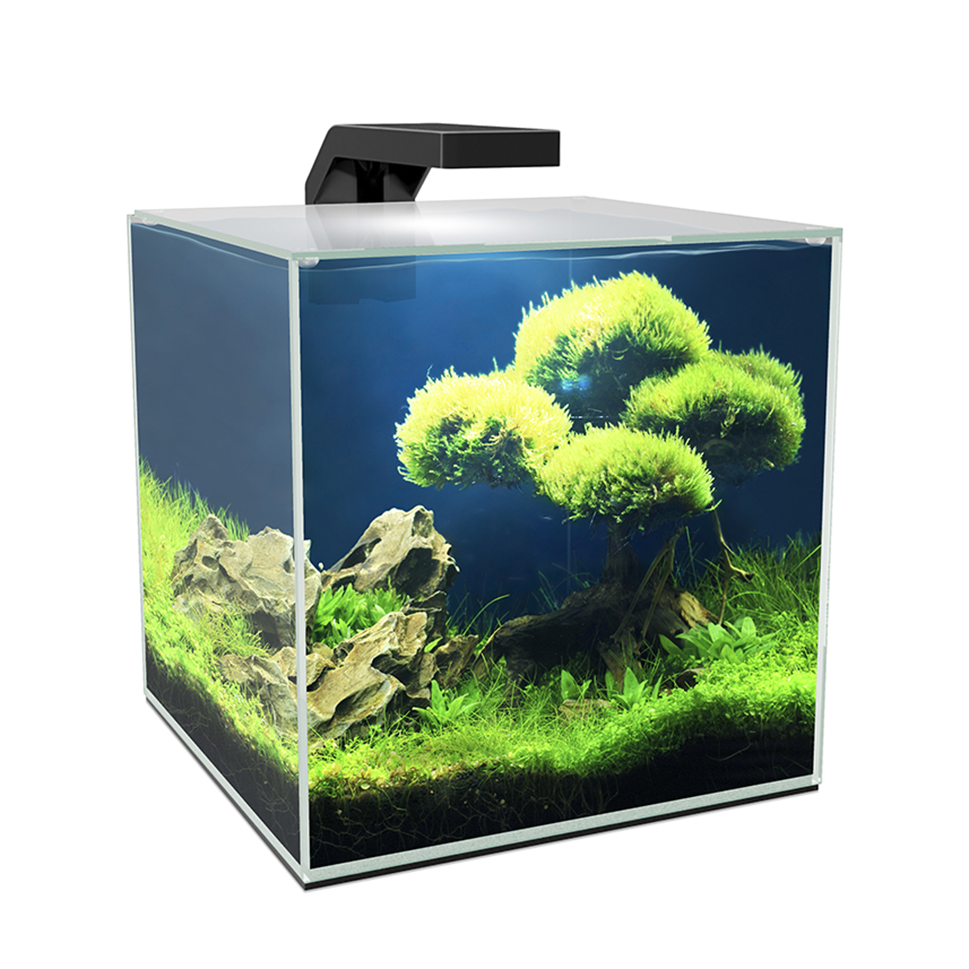 Vervloekt gunstig Inloggegevens Ciano Aquarium Cube 10 Led 9,5 Liter | Diertotaal.nl