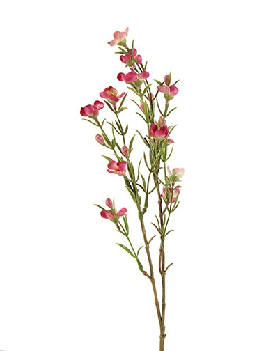 Countryfield Bloem Van Wax Tamara L Fuchsia