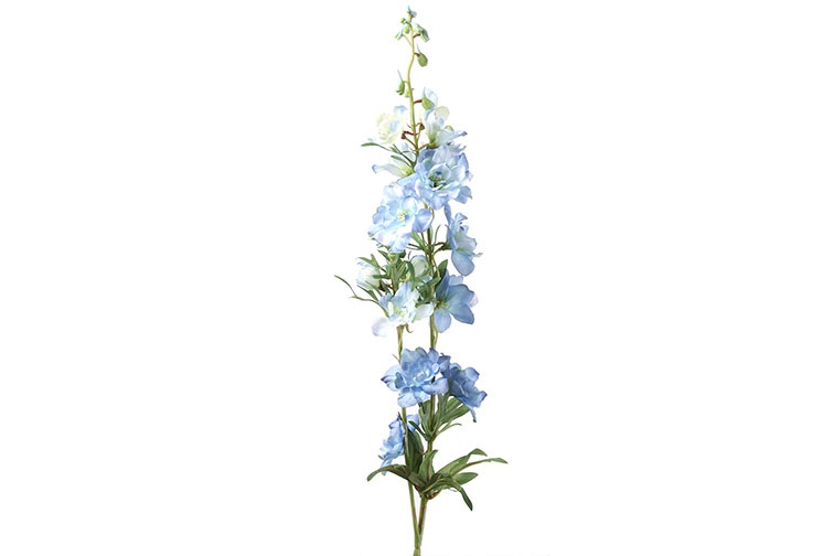 Countryfield Delphinium Jesika Blauw