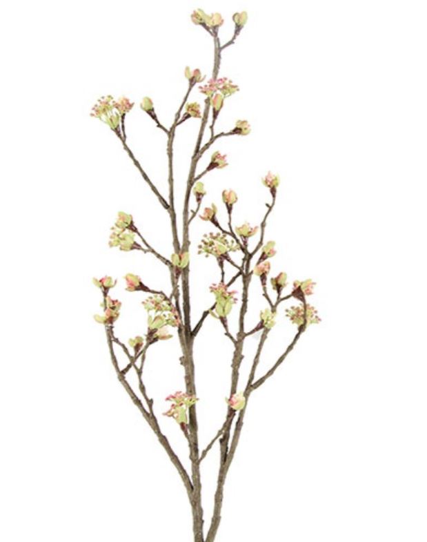 Countryfield Esdoorn Fruit Tak Quince L Roze