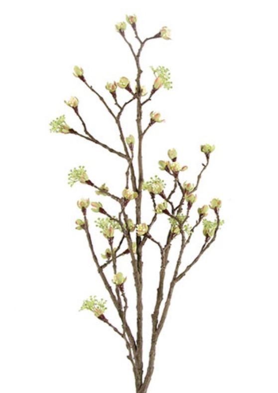 Countryfield Esdoorn Fruit Tak Quince L Wit
