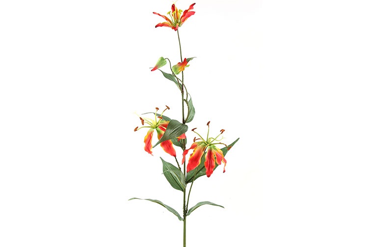 Countryfield Gloriosa Oranje