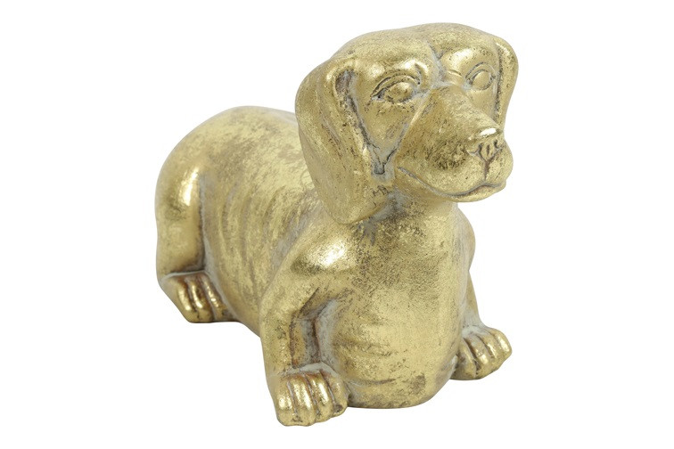 Countryfield Hond Freggel S Goud