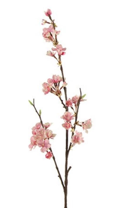 Countryfield Kersenbloesem Tak Gisele S Roze