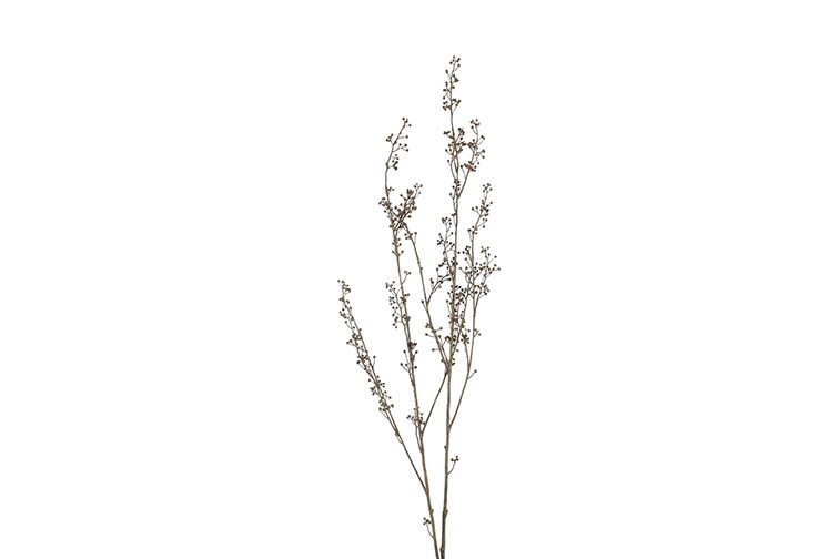 Countryfield Linum L Bruin