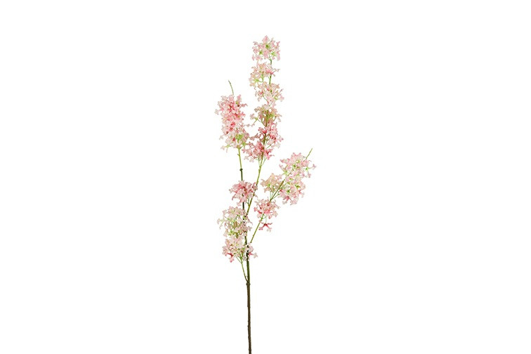 Countryfield Matthiola Roze