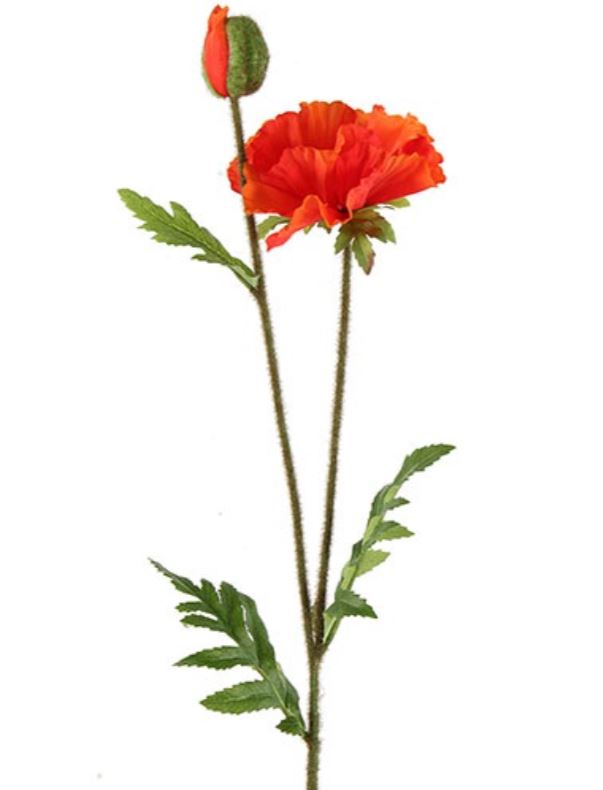 Countryfield Papaver Vere Oranje