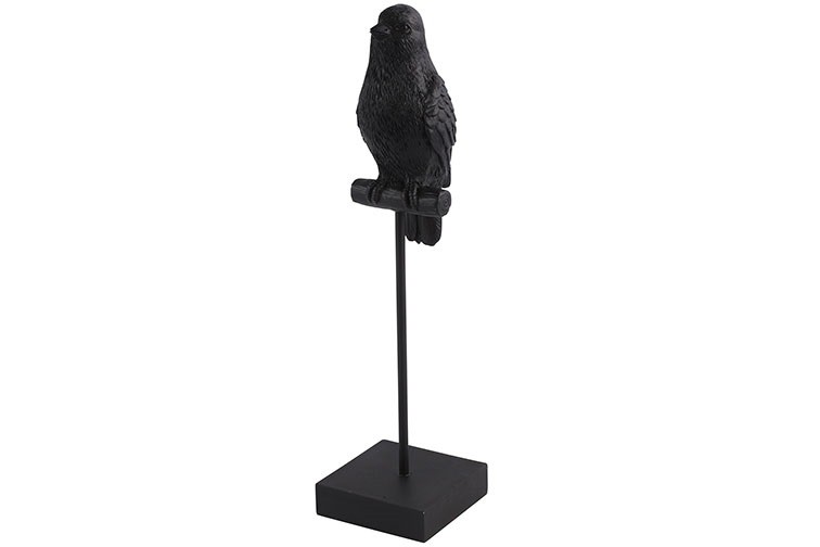 Countryfield Vogel Tweety L Zwart