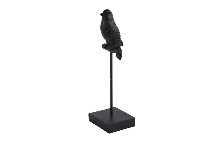 Countryfield Vogel Tweety S Zwart