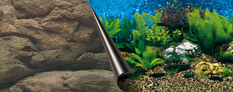 Foto-Achterwand - 120 cm - Coupe Zee&Steen - 50cm