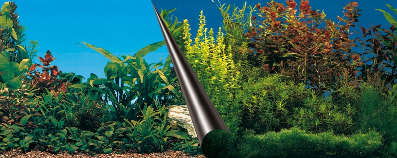 Foto-Achterwand - 120cm - Coupe Beauty&Zee - 50cm