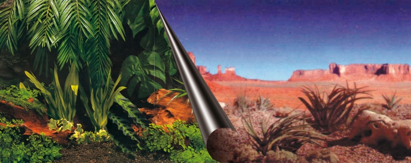 Foto-Achterwand - 80cm - Coupe Jungle&Woestijn - 40cm