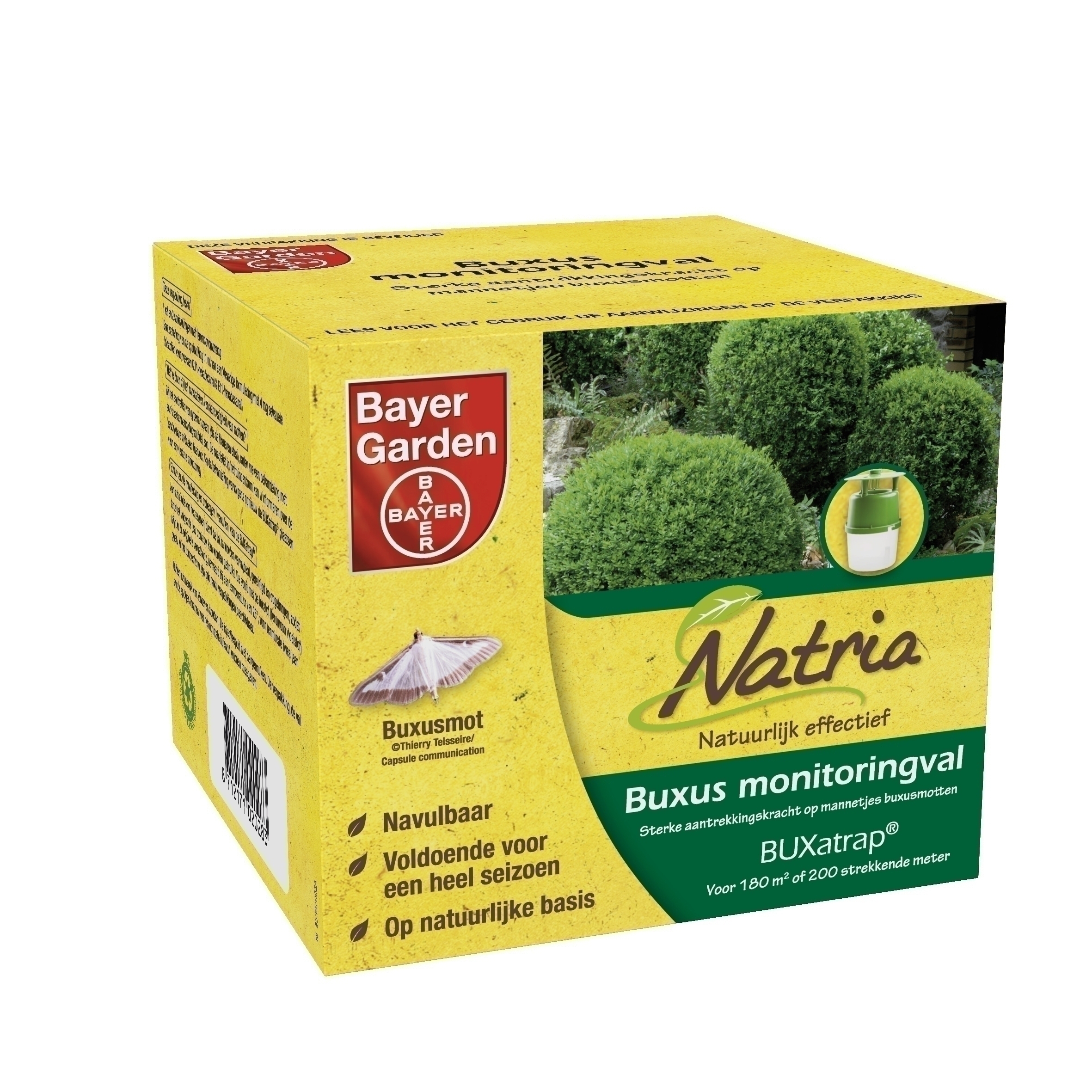 Buxatrap Buxus monitoringval Natria