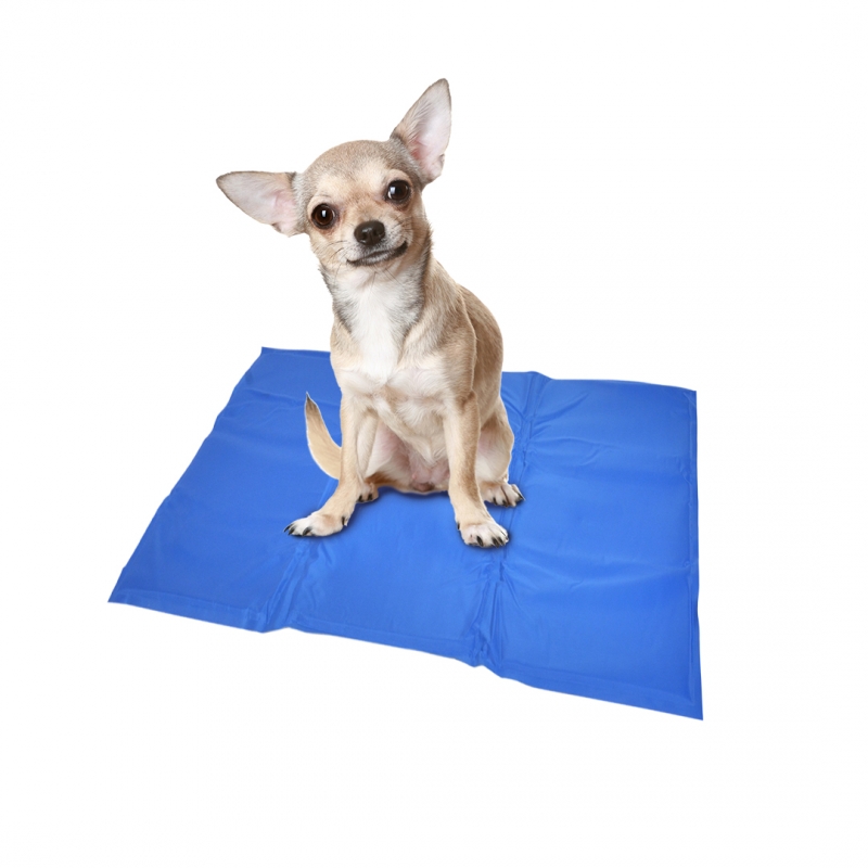Duvo+ Koelmat Medium 50x65 cm Blauw