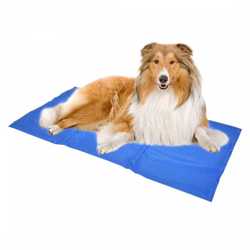 Duvo+ Koelmat Large 90x50 cm Blauw