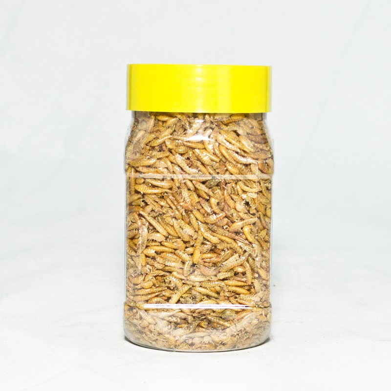 Schildpadvoer 330 ml