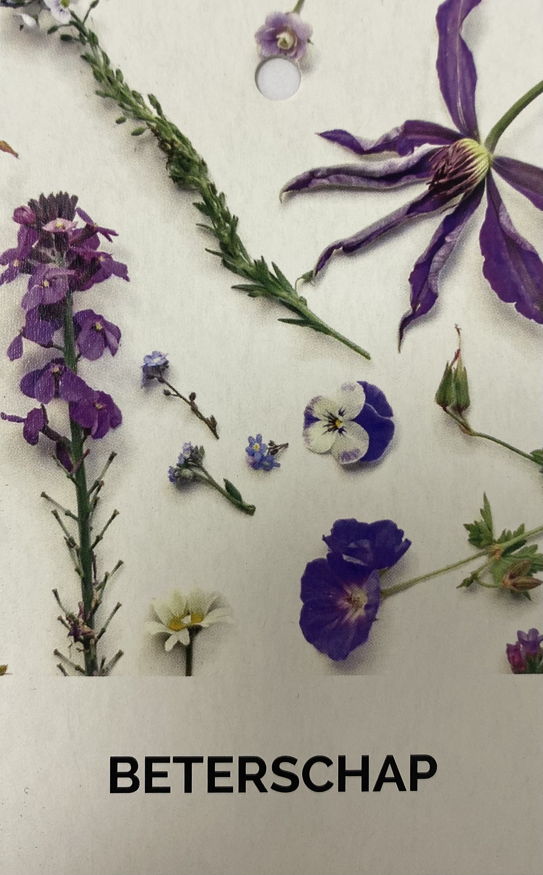 Kaartje Eco Wildflower Beterschap
