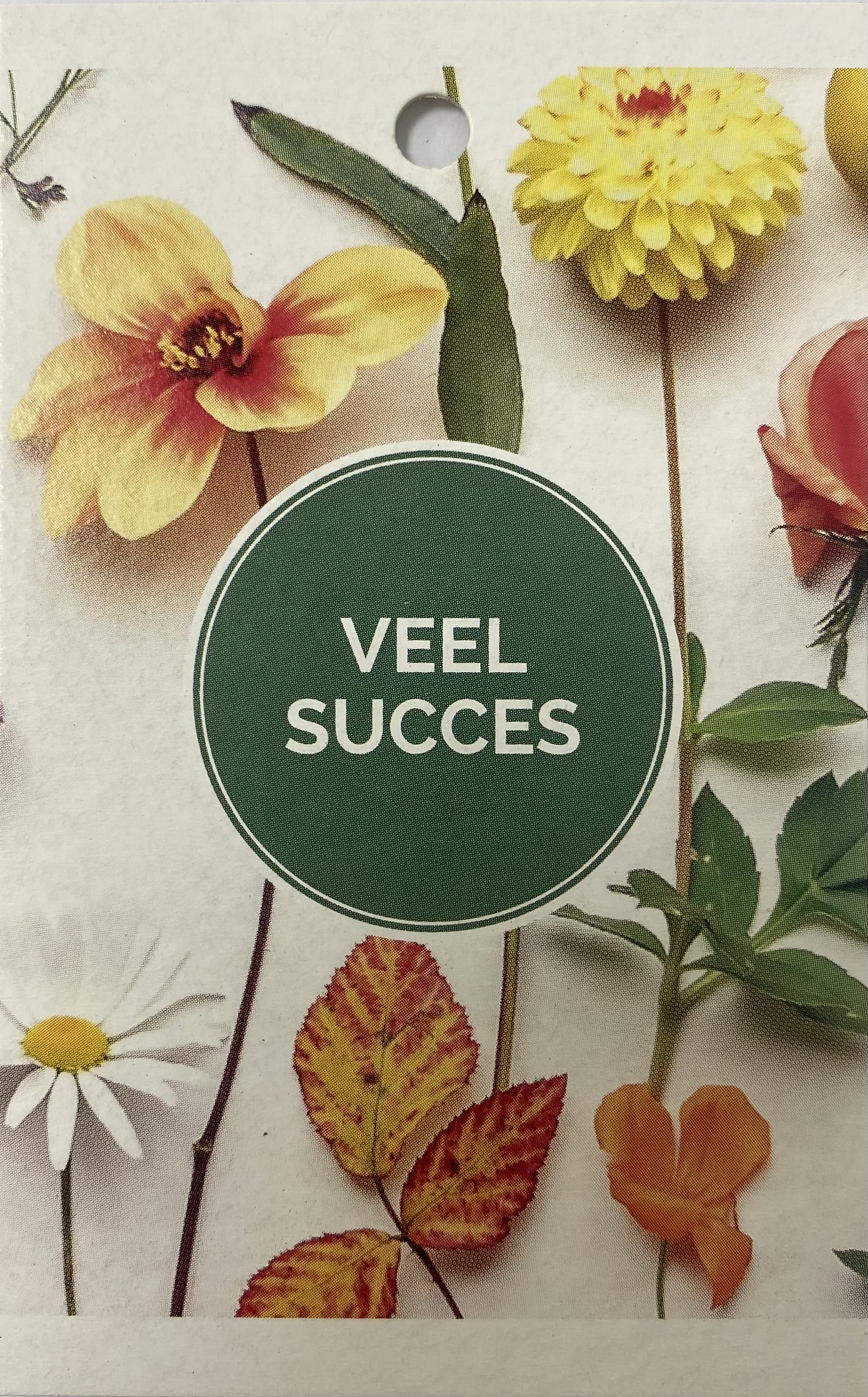 Kaartje Eco Wildflower Veel Succes