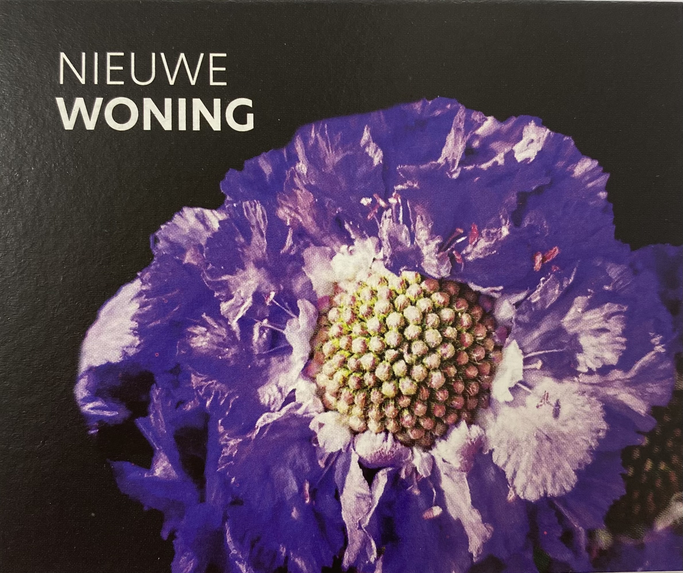 Kaartje Eco Bloomz Nieuwe Woning