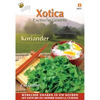 Xotica Koriander