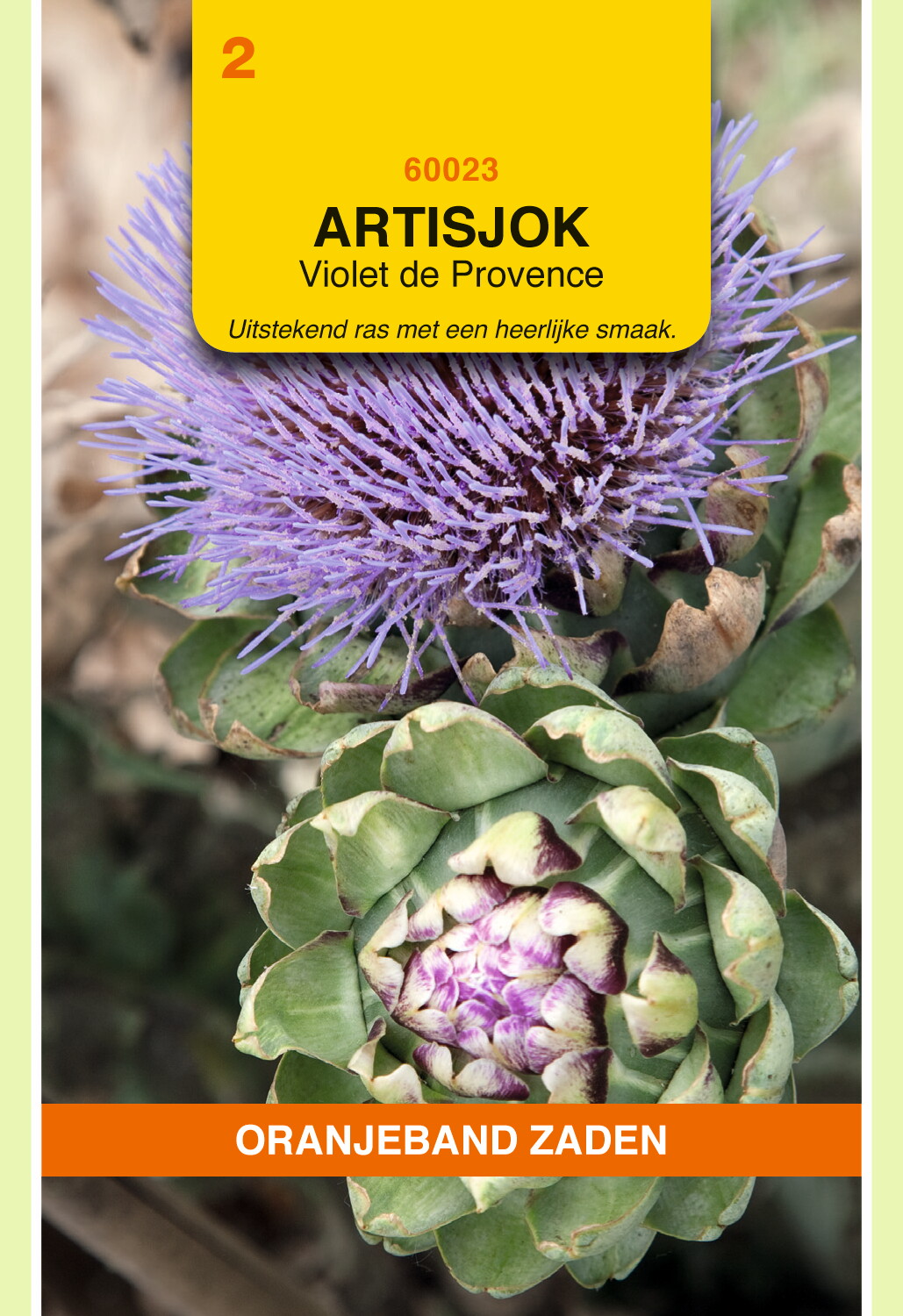 Artisjokken Violet de Provence