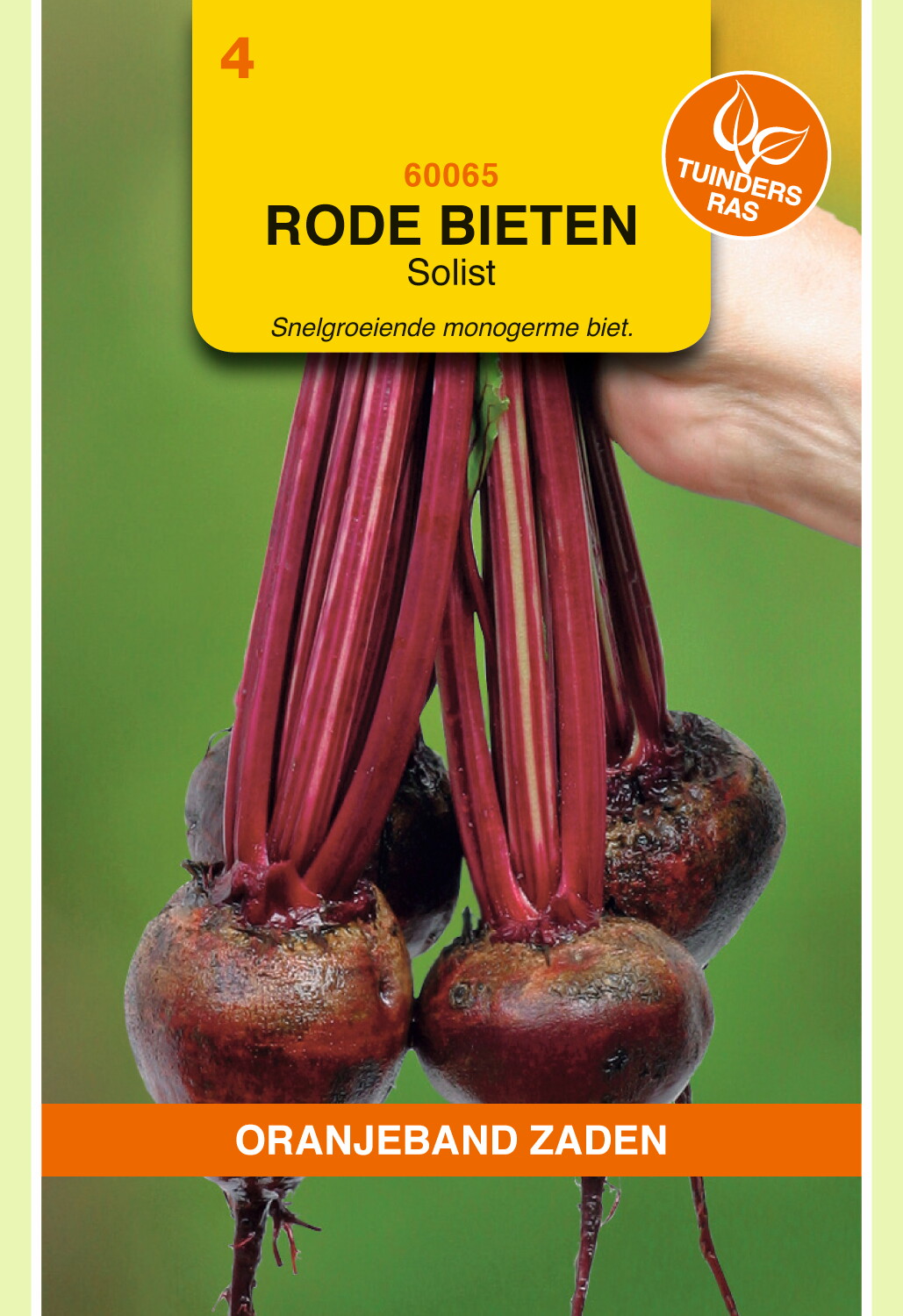 Rode Bieten Solist (Monogerm)