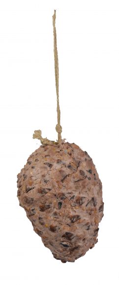 Tweetfeed Dennenappel Met Pindakaas
