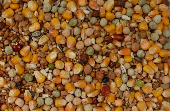 Wielink Allround Mix 25 Kg