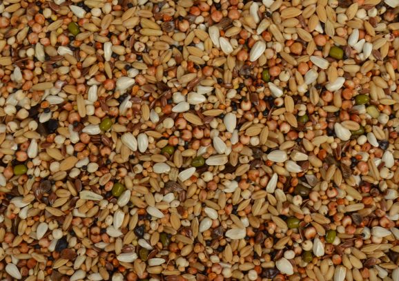 Wielink Duivensnoepzaad 18 kilo