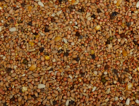 Wielink Tortelduivenvoer 20 kilo
