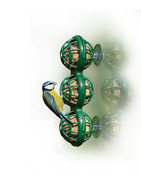 Raamfeeder Mezenbol