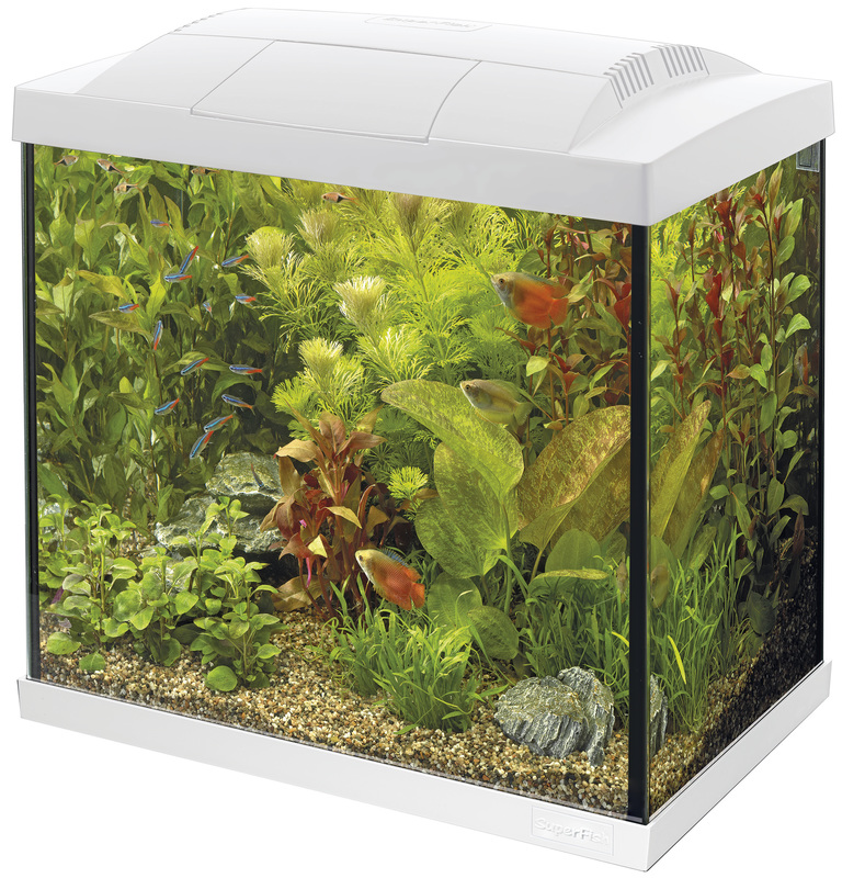Superfish Start 50 Tropical Kit Wit