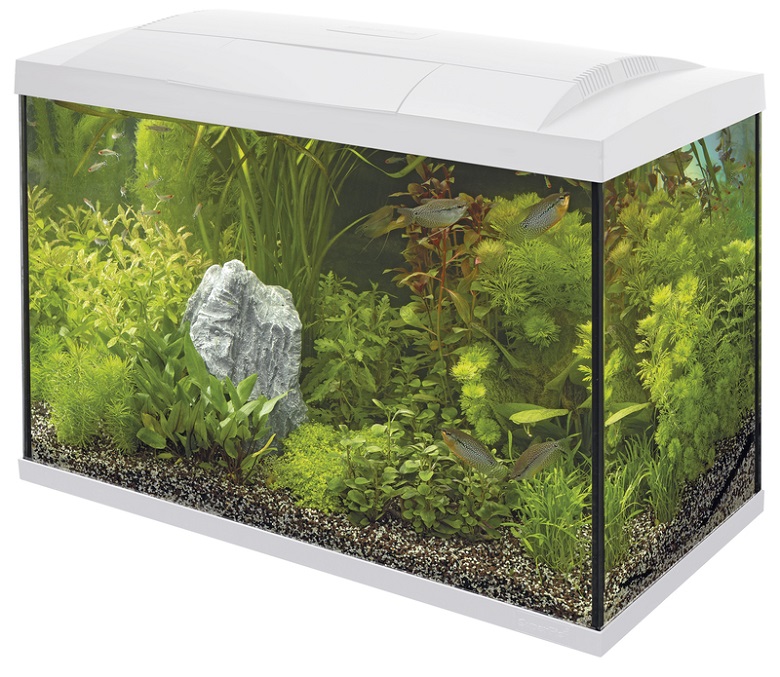 Superfish Start 70 Tropical Kit Wit
