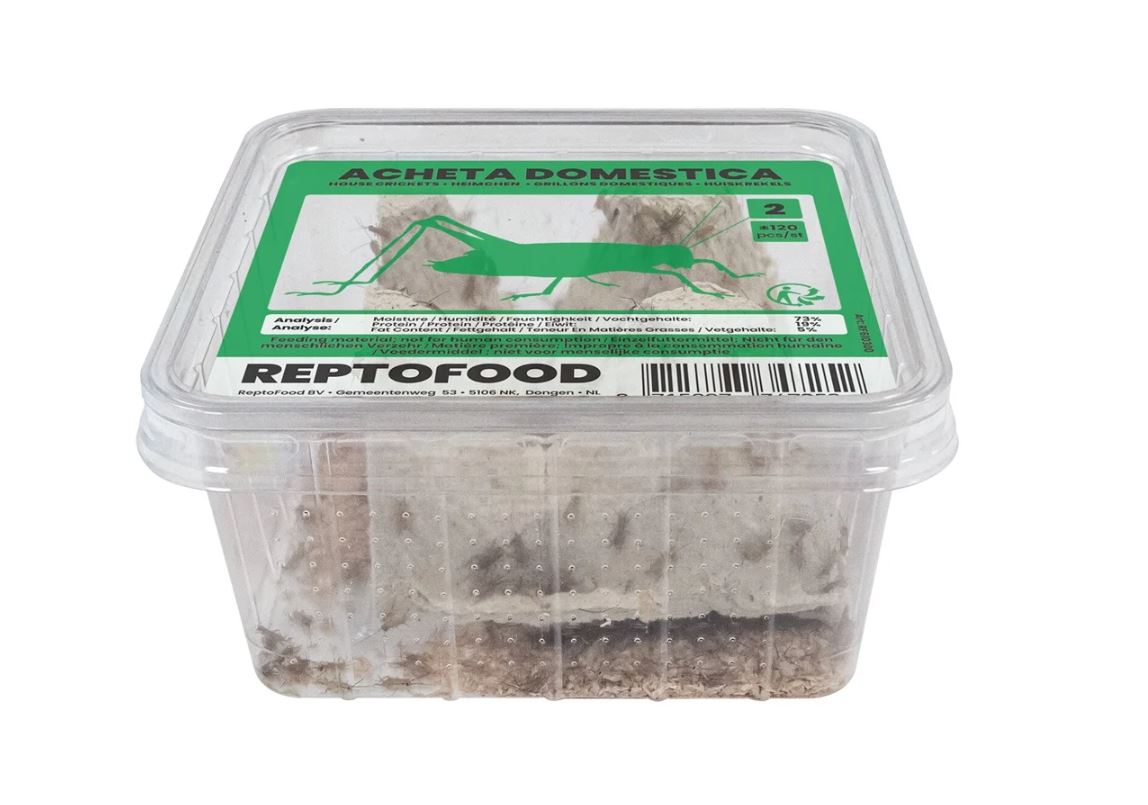 Reptofood Huiskrekels 2 Bakje